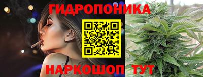 МДПВ Рыбинск