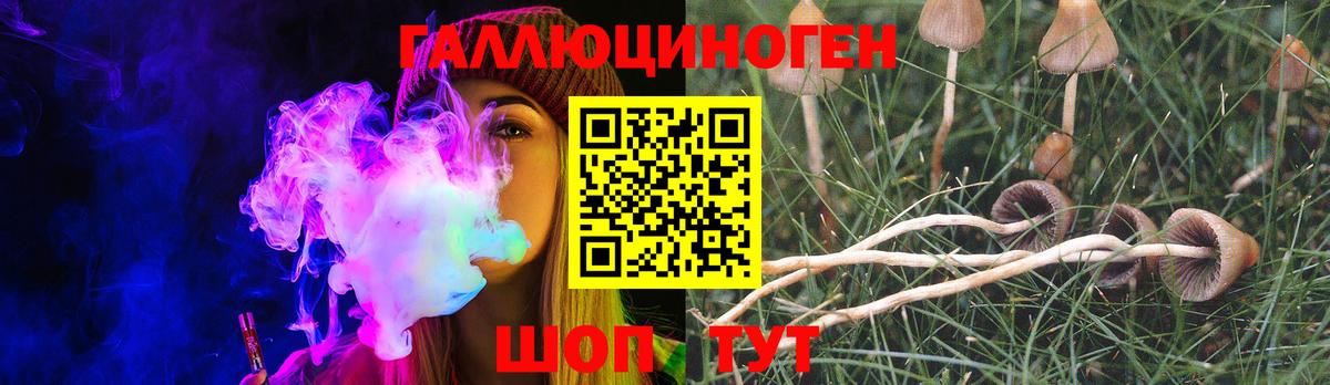 Псилоцибиновые грибы Magic Shrooms Нальчик